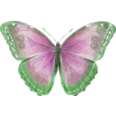 download Morpho Helenor clipart image with 90 hue color