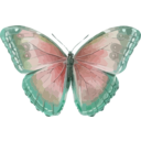 download Morpho Helenor clipart image with 135 hue color