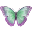download Morpho Helenor clipart image with 270 hue color