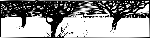 A Snowy Scene