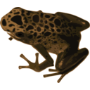 download Azureus Frog clipart image with 180 hue color