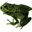 download Azureus Frog clipart image with 225 hue color