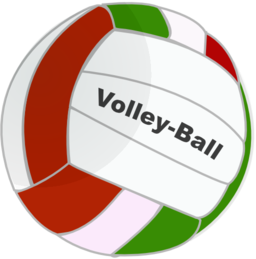 Volleyball