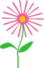 Whimsical Pink Flower