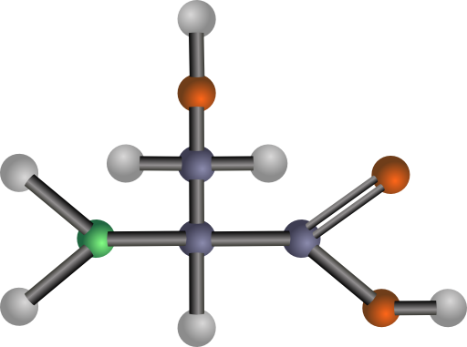 Serine Amino Acid