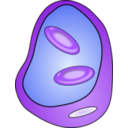 download Blood Vessel With Erythrocites clipart image with 270 hue color