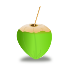 Coconut Icon