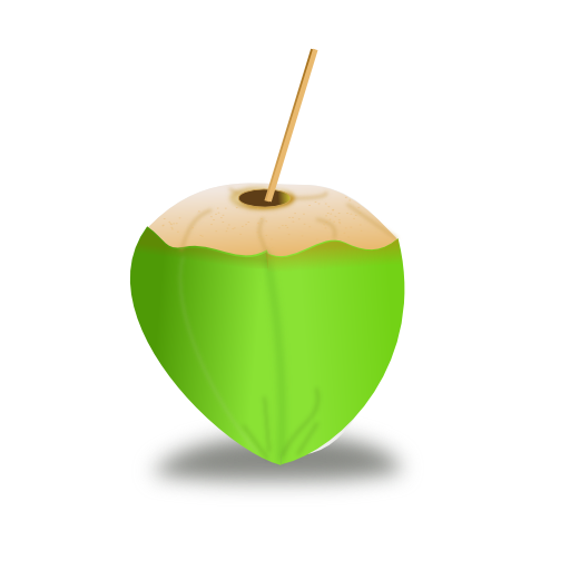 Coconut Icon