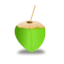 Coconut Icon