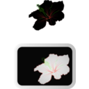 download Hibiscus 3 clipart image with 45 hue color