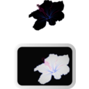 download Hibiscus 3 clipart image with 270 hue color
