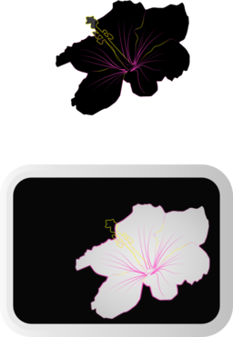 Hibiscus 3