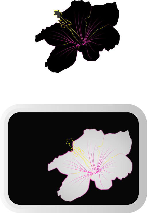 Hibiscus 3
