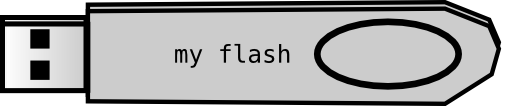 Flash Disk