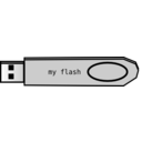 Flash Disk