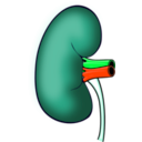 download Kidney clipart image with 135 hue color