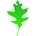 download Leaf Oak clipart image with 90 hue color