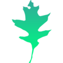 download Leaf Oak clipart image with 135 hue color