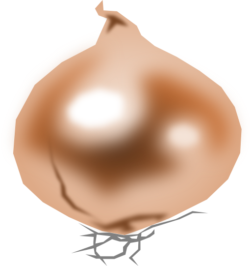 Onion Cebolla