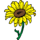 download Sunflower clipart image with 0 hue color