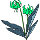 download Gg Erythronium Grandiflorum clipart image with 90 hue color