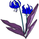 download Gg Erythronium Grandiflorum clipart image with 180 hue color