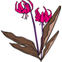 download Gg Erythronium Grandiflorum clipart image with 270 hue color