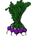 download Beets clipart image with 315 hue color