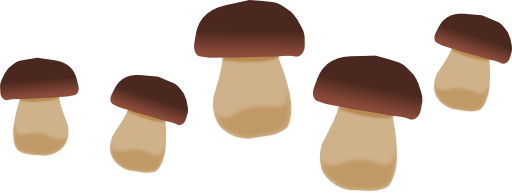 Mushrooms 3