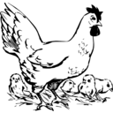 download Hen And Chickens clipart image with 90 hue color