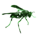 download Wasp 16c clipart image with 90 hue color