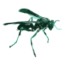 download Wasp 16c clipart image with 135 hue color