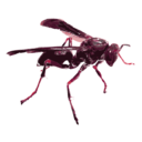 download Wasp 16c clipart image with 315 hue color
