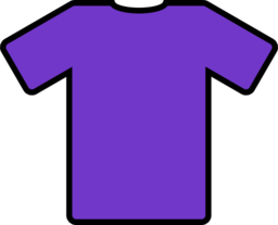 Purple T Shirt