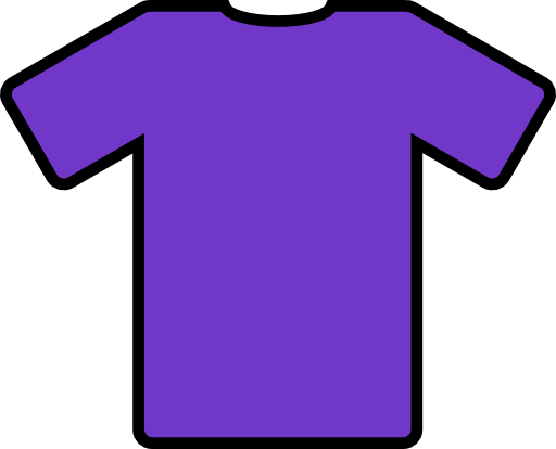 Purple T Shirt