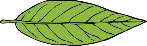 Lanceolate Leaf 2