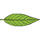 download Lanceolate Leaf 2 clipart image with 0 hue color
