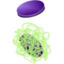 download Laponite Peg clipart image with 90 hue color