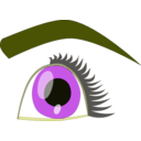 download Eye clipart image with 45 hue color