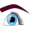 download Eye clipart image with 315 hue color