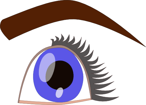 Eye