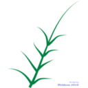 download Green Plant clipart image with 90 hue color