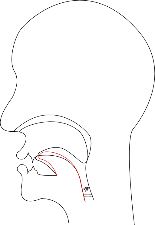 Midsagittal J Voiced Postalveolar Affricate