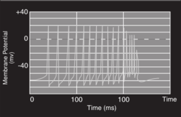 58294main The Brain In Space Page 32 Graph