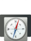 Metallic Compass