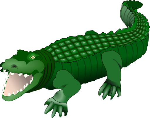 Crocodile