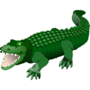 Crocodile