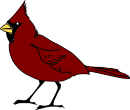 Cardinal