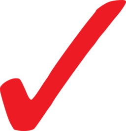 Simple Red Checkmark