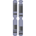 download Chromosome clipart image with 90 hue color
